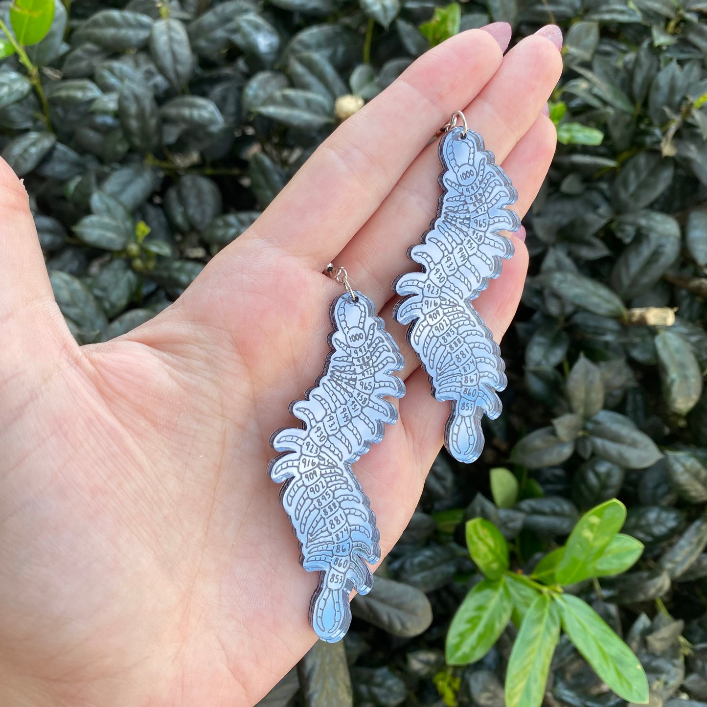 1,000-7 Centipede Acrylic Earrings