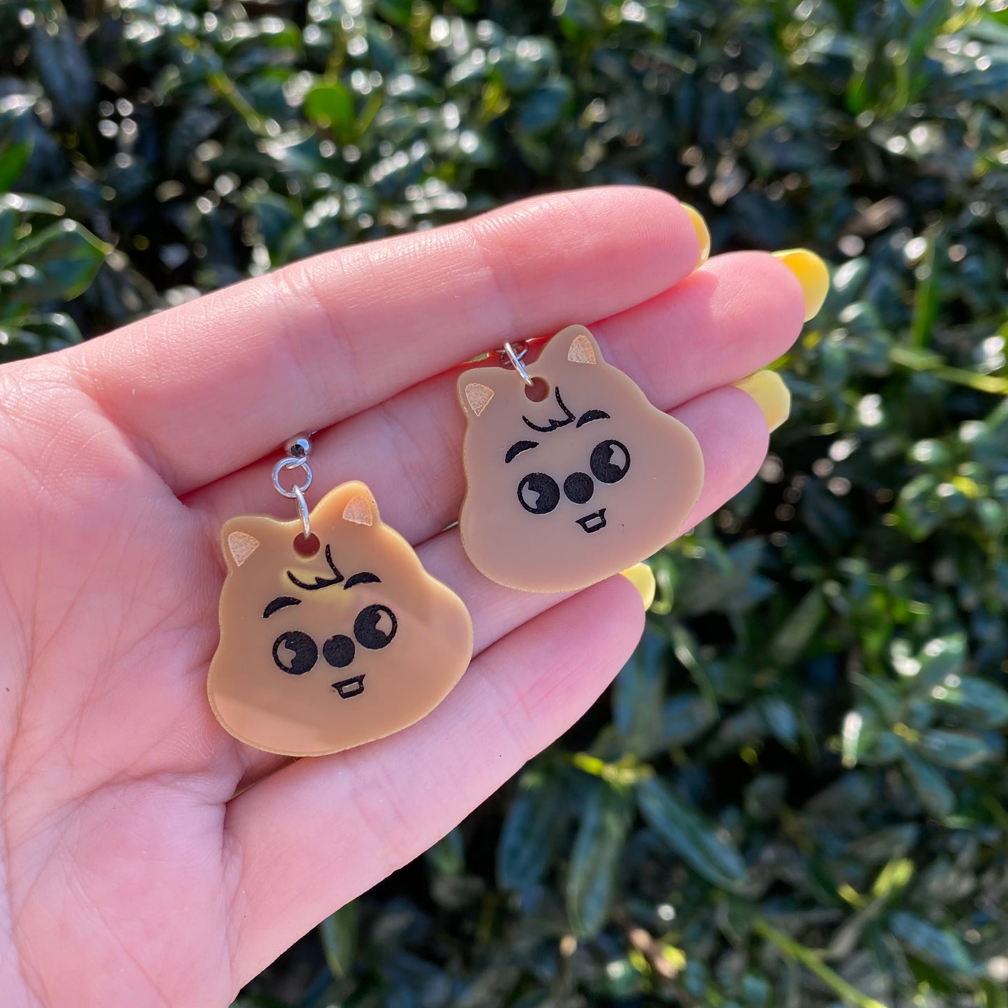 SKZOO Acrylic Earrings