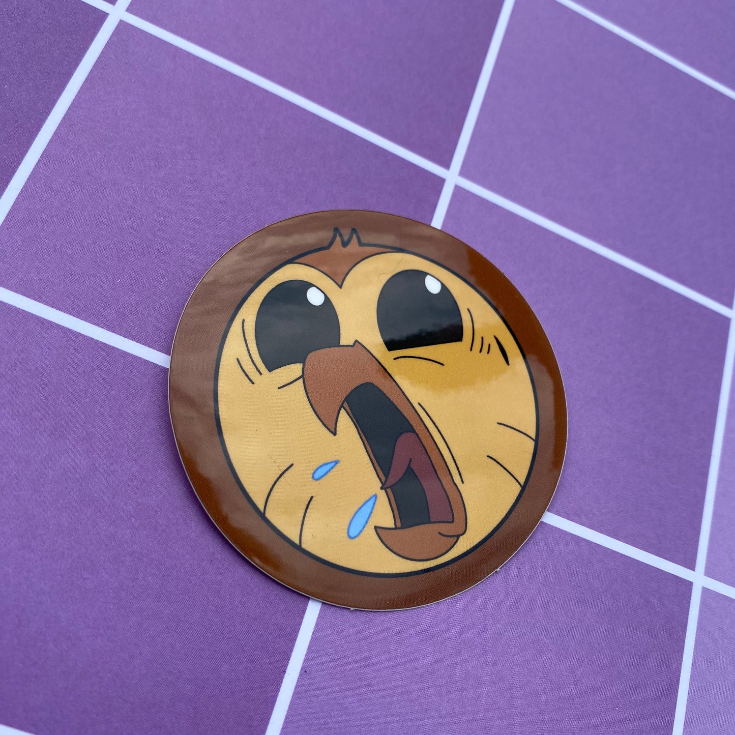 Smiling & Hootin’ 2.5” Vinyl Stickers