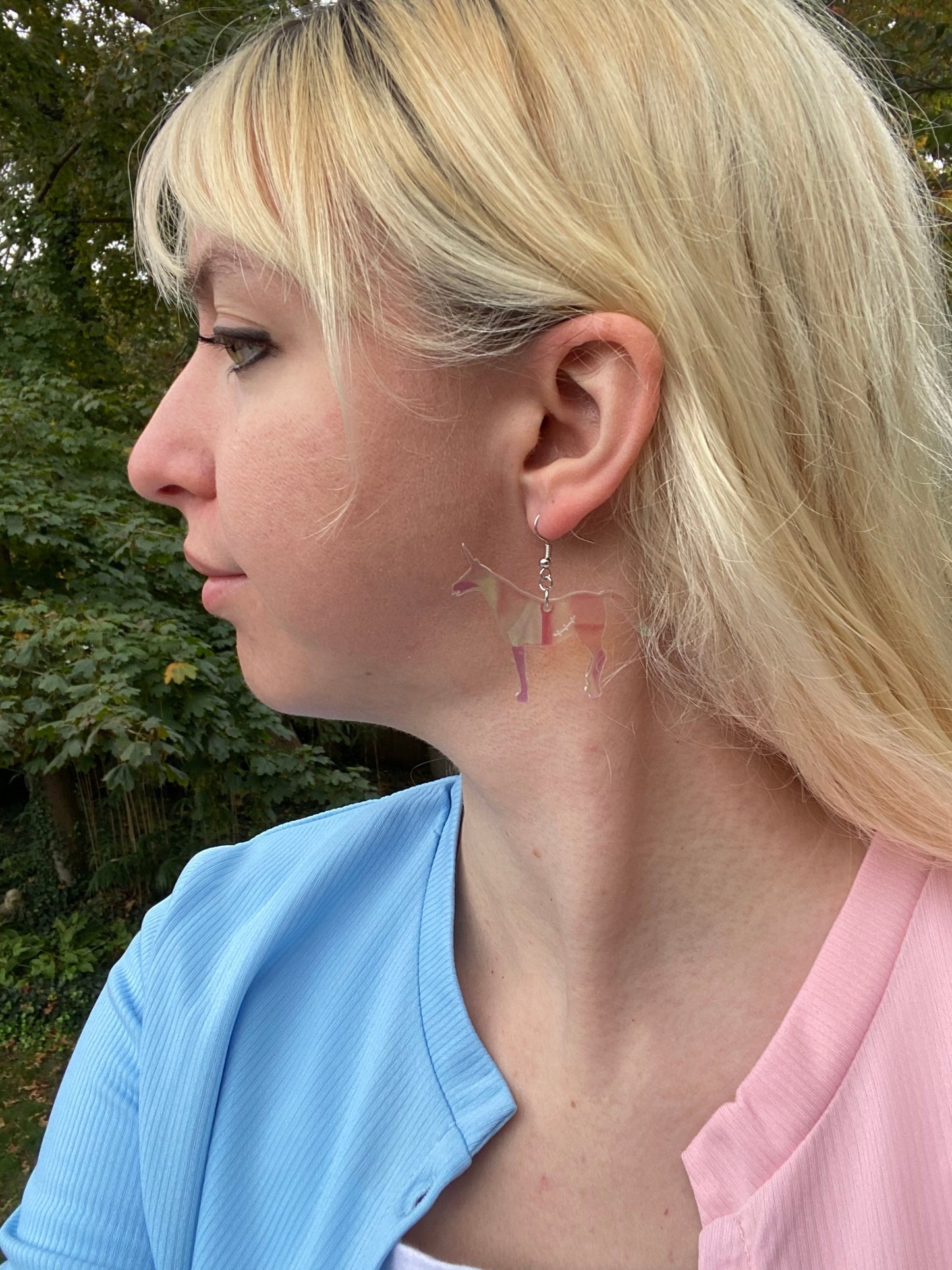 Charlie the Unicorn Inspired Acrylic Earrings