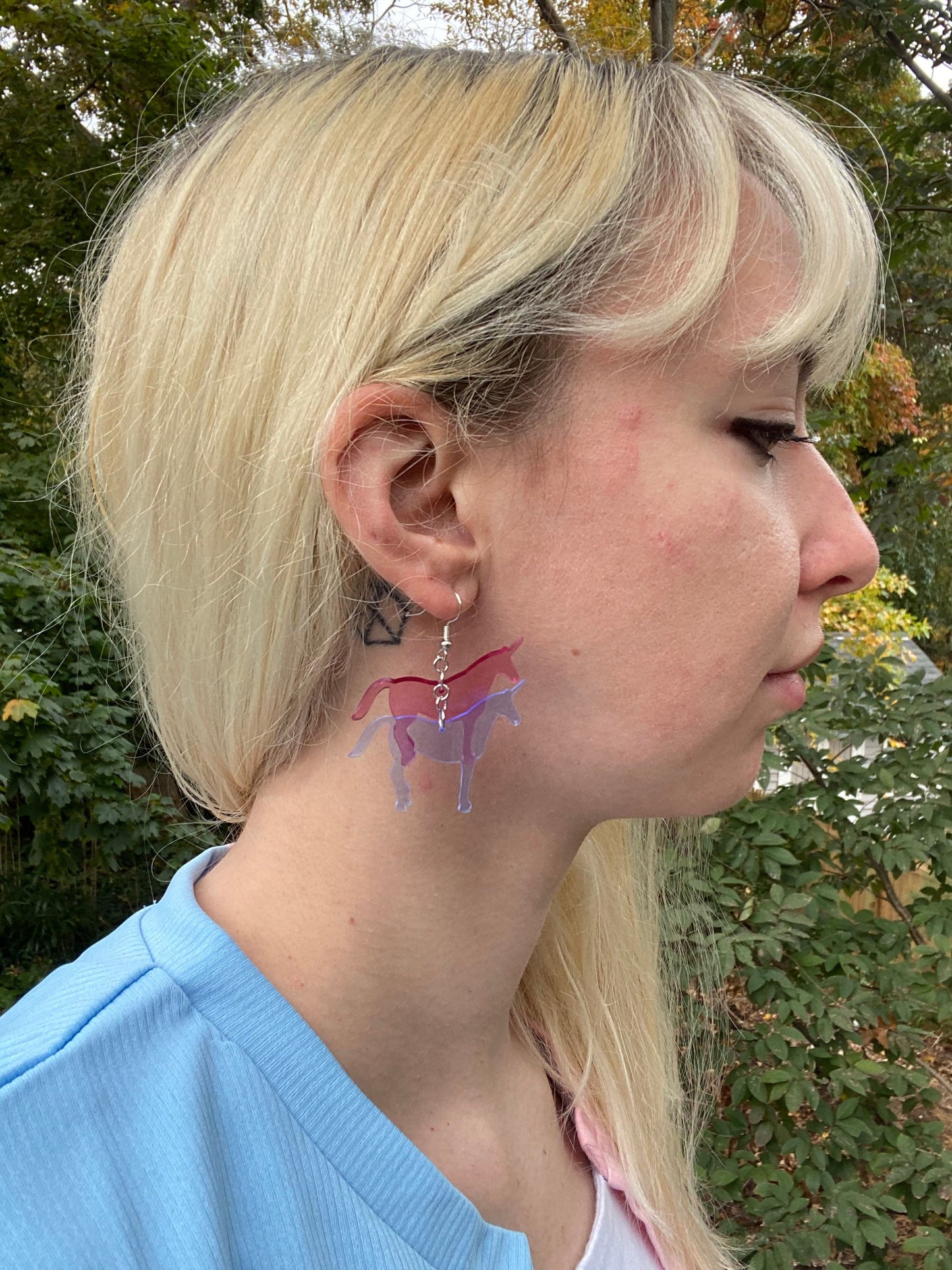 Charlie the Unicorn Inspired Acrylic Earrings