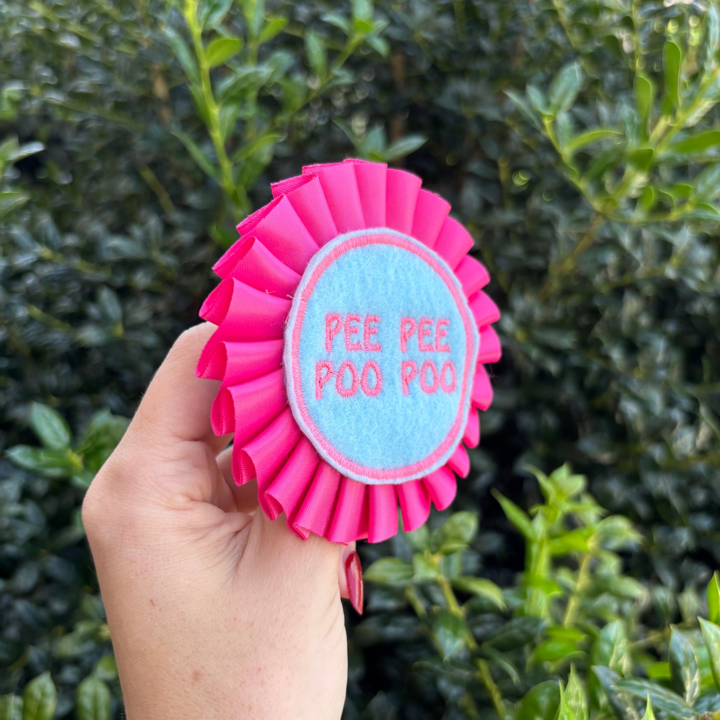 Pee pee poo poo Ribbon Rosette