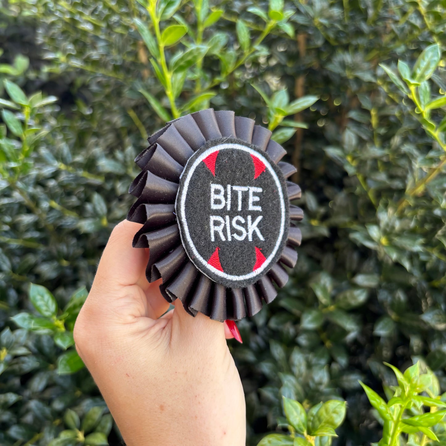 Bite Risk Ribbon Rosette