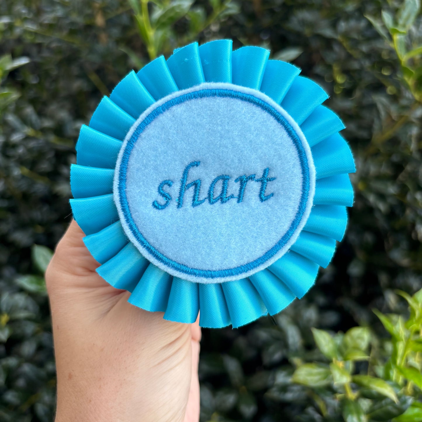 Shart Ribbon Rosette