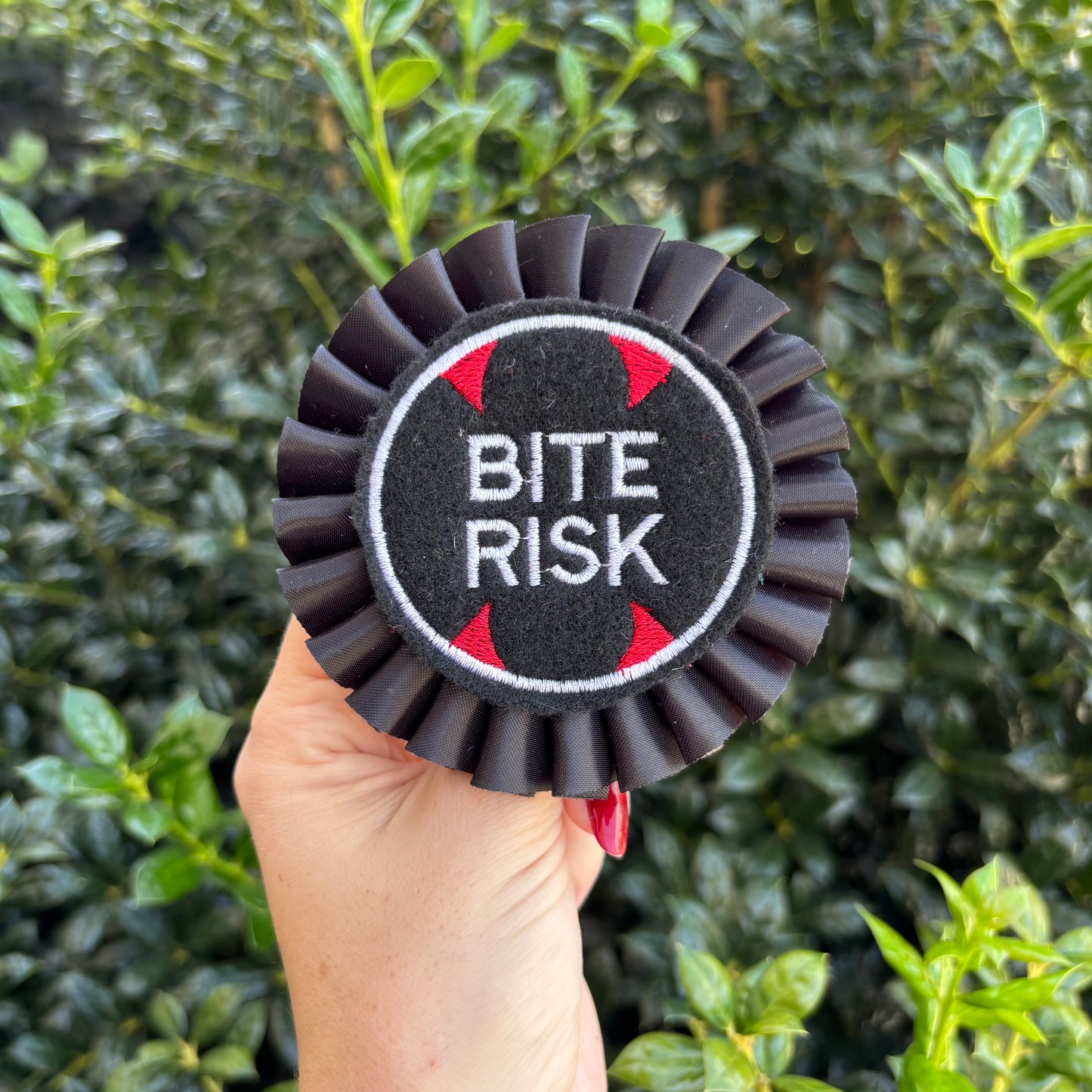 Bite Risk Ribbon Rosette