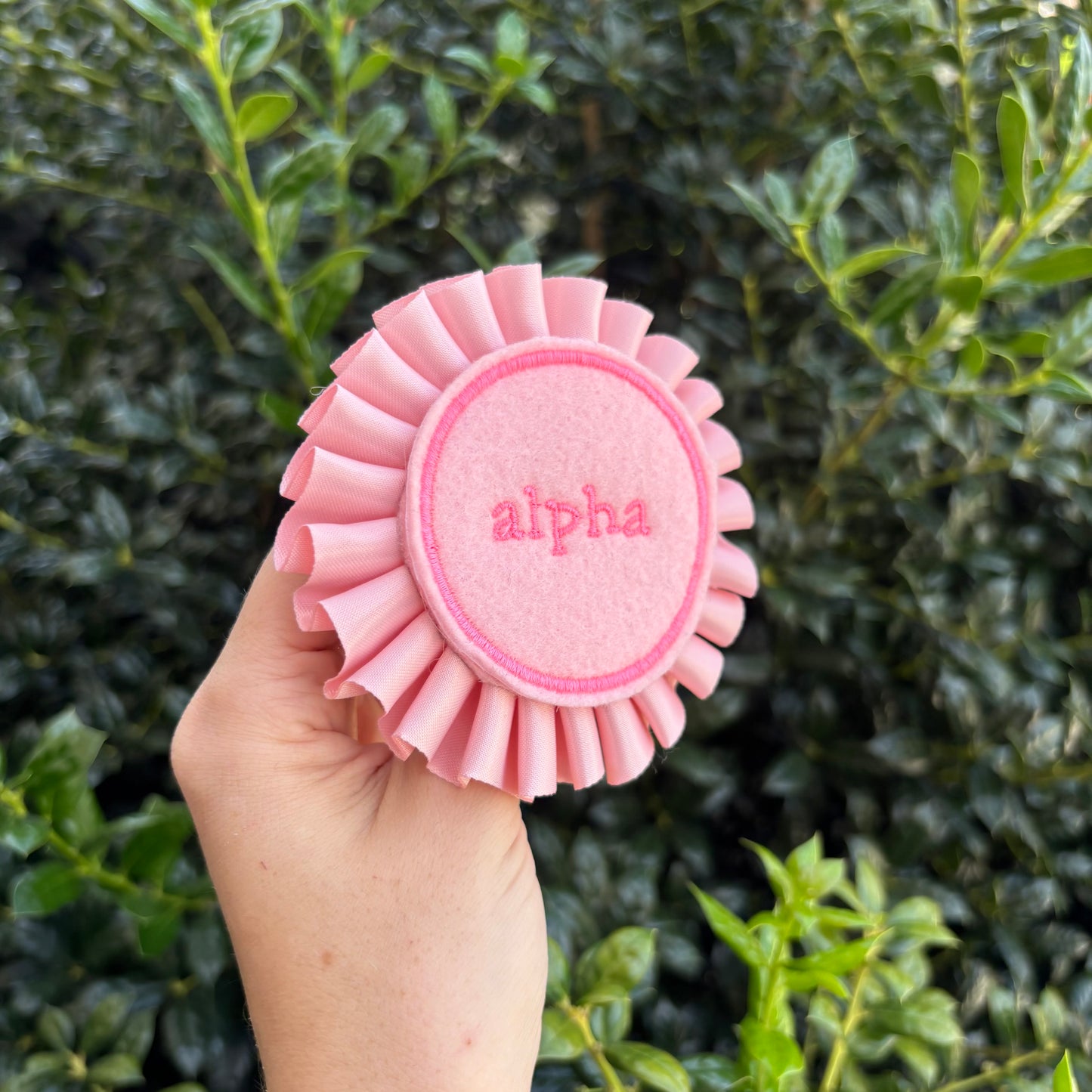 Cutie Pink Alpha Ribbon Rosette
