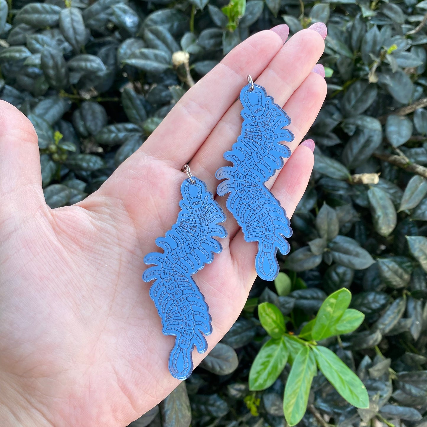 1,000-7 Centipede Acrylic Earrings