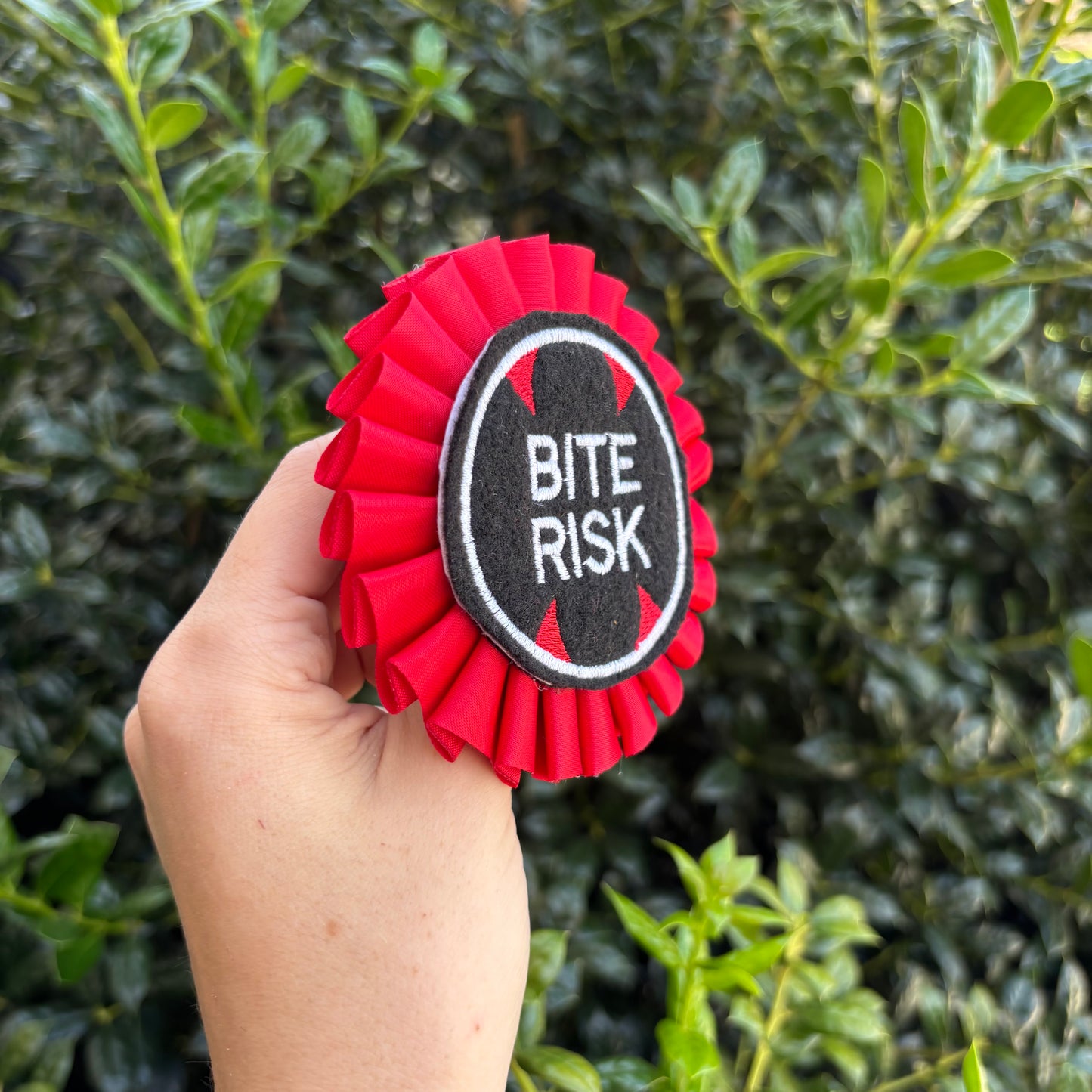 Bite Risk Ribbon Rosette