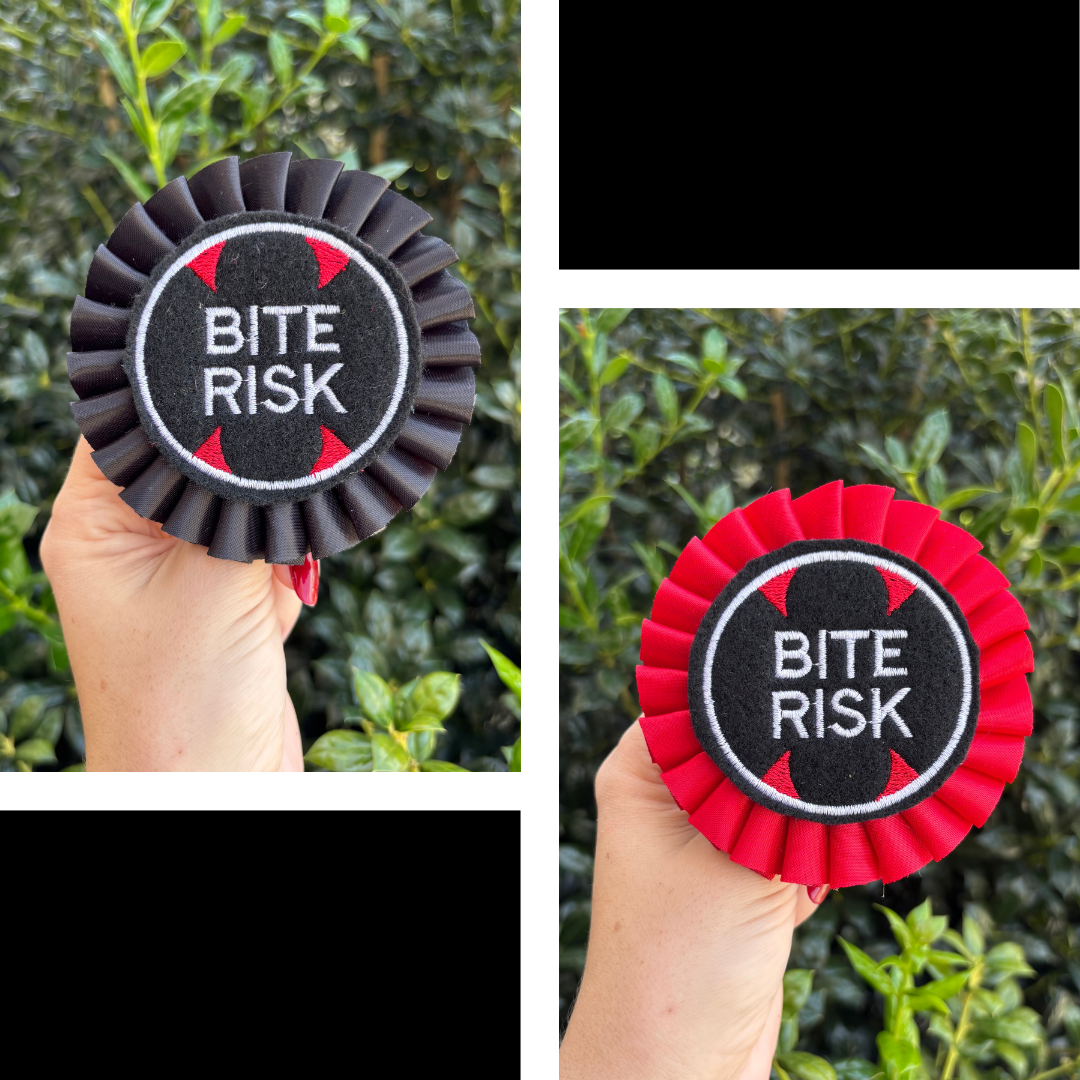Bite Risk Ribbon Rosette