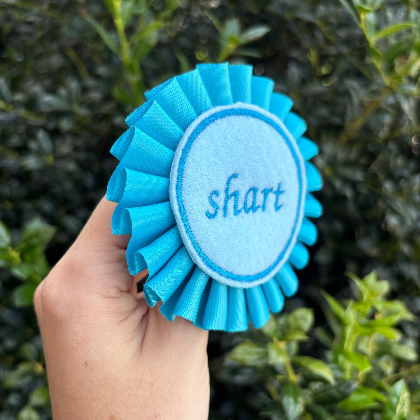 Shart Ribbon Rosette