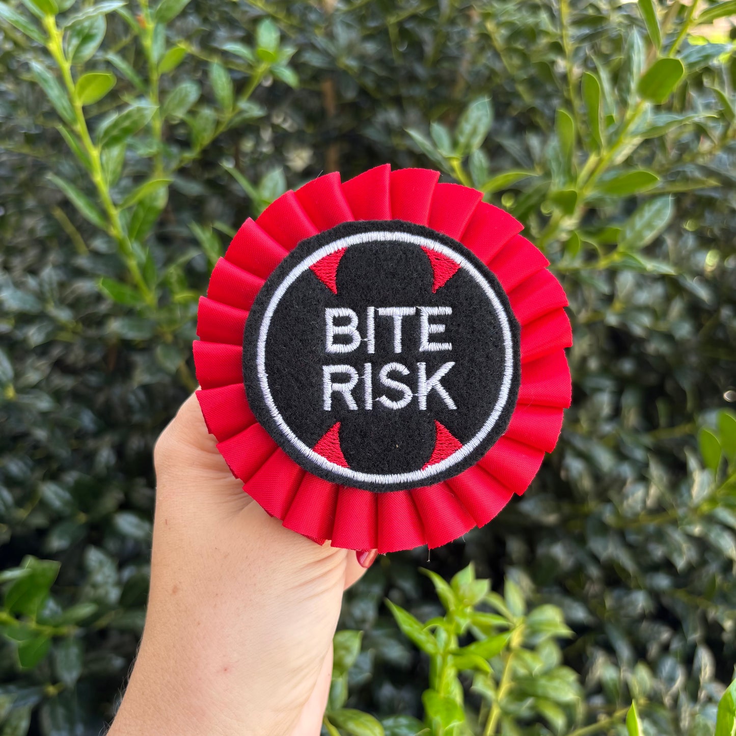 Bite Risk Ribbon Rosette