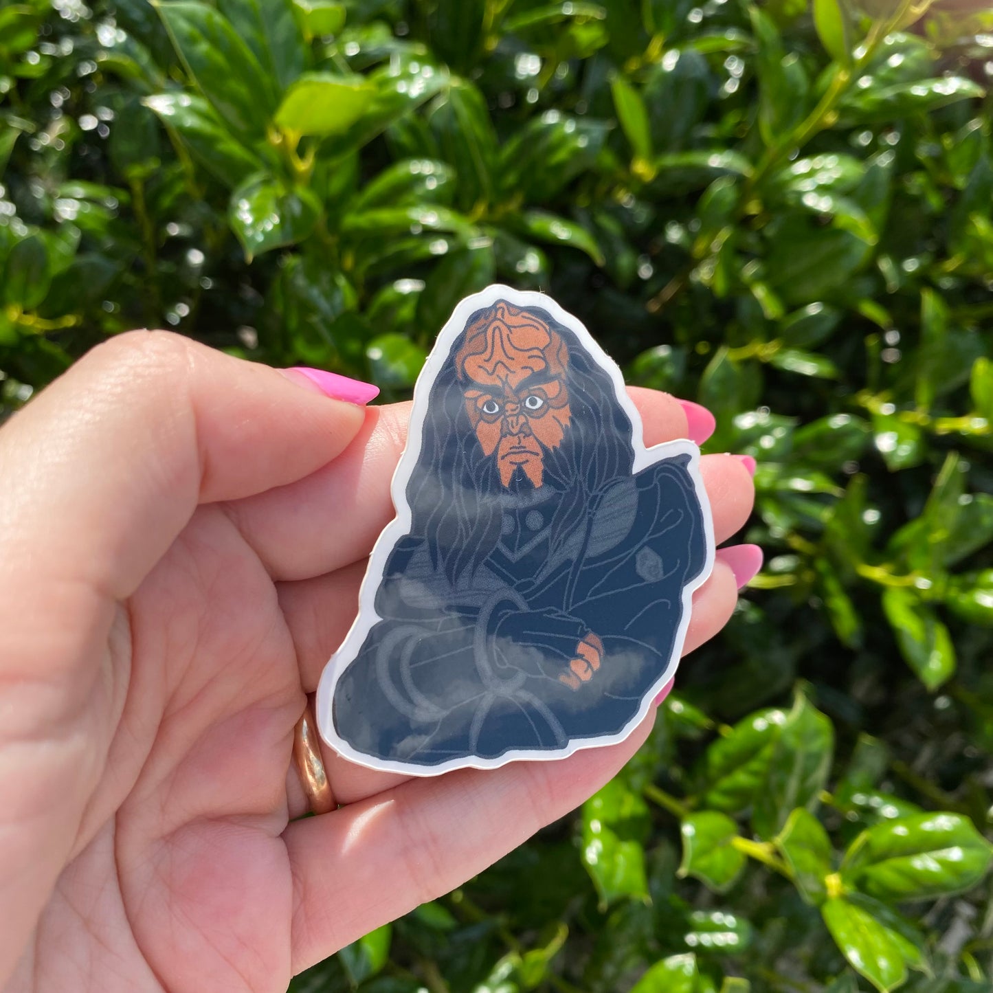 Chancellor Gowron Vinyl Sticker